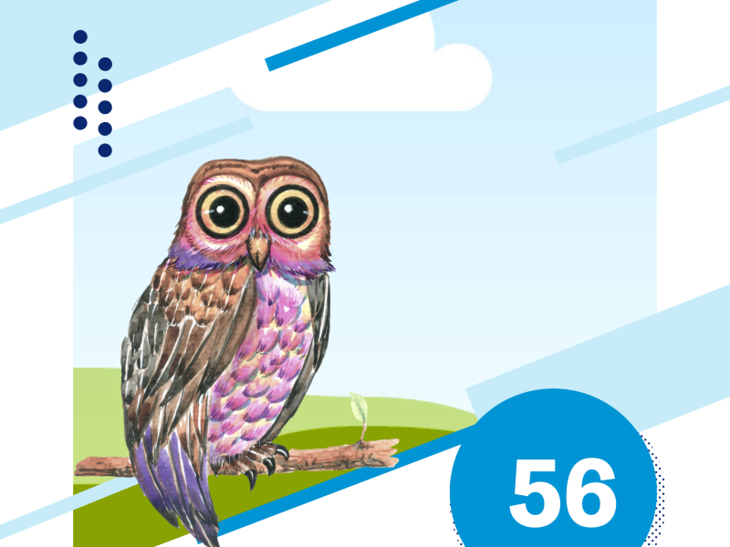 PARTIDO DOS PROFESSORES, ESTUDANTES E OUTROS - PPEO